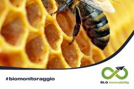 Biomonitoraggio della qualità dell’aria