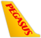 Pegasus Airlines